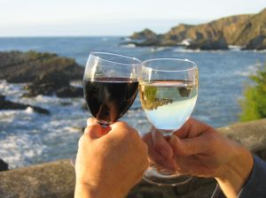 Two people toasting wine glasses in front of the ocean.