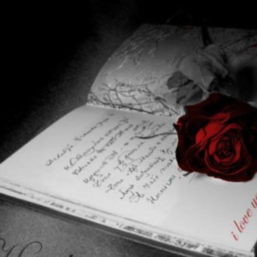 A rose laying on top of an open book.
