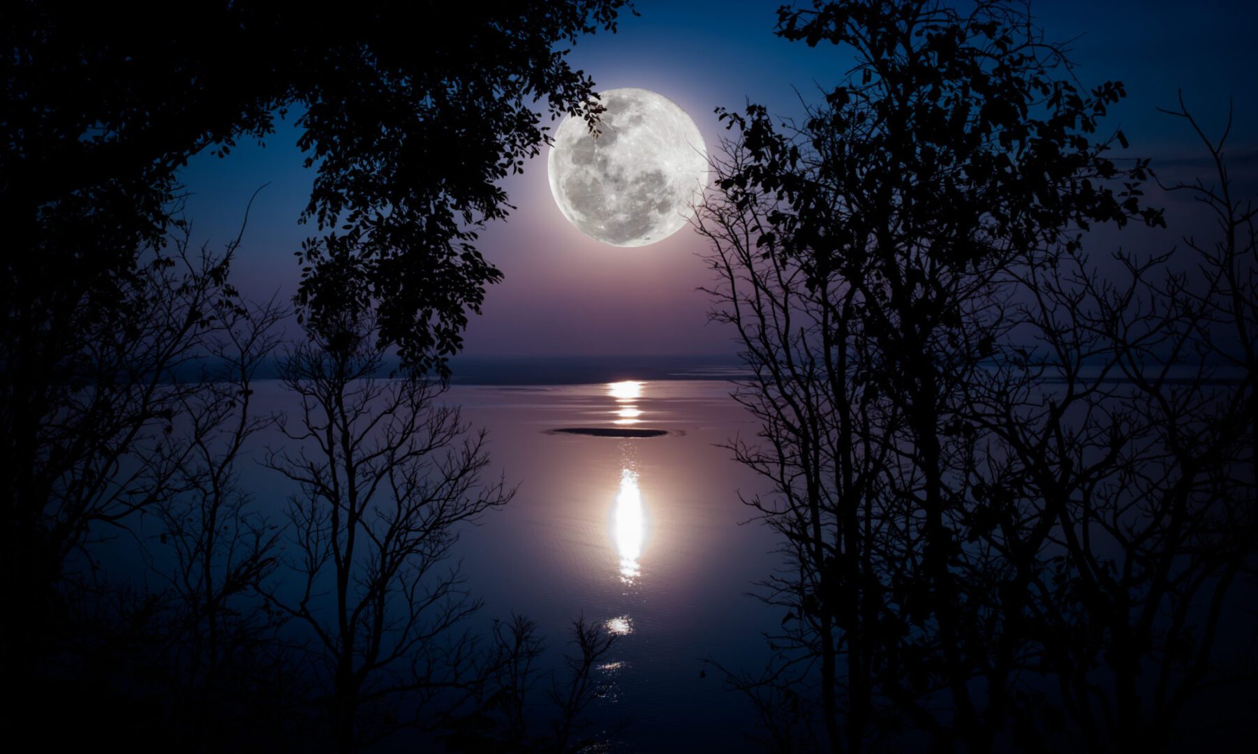 A full moon over the water with trees in front of it.